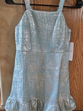 Zac Posen Mint Silver Metallic Ruffle Hem Girls Dress Size 12